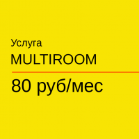 Услуга MULTIROOM